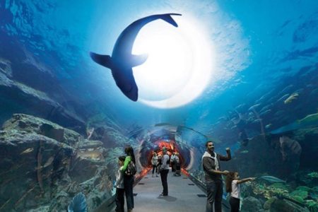 Discover the Best Time to Visit UAE: A Seasonal Guide