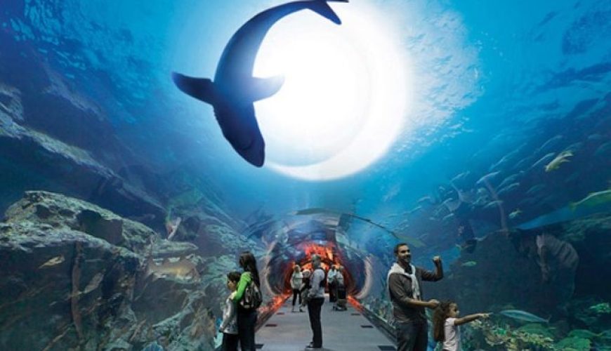 Discover the Best Time to Visit UAE: A Seasonal Guide